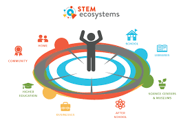 STEM-Ecosystems