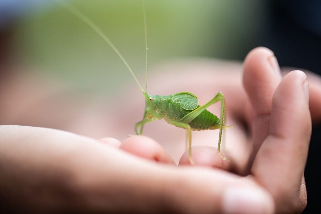 Photo credit: Elisa Kennemer on Unsplash