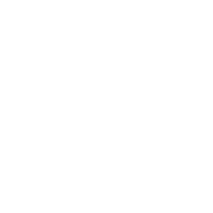 person in lightbulb icon