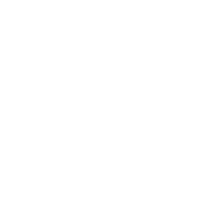 folder icon with check mark