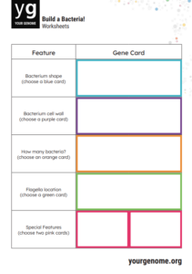 Build a bacteria card