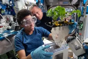 Two astronauts in a space station examine a green plant with exposed roots—demonstrating STEM education for the future workforce. One wears safety goggles and gloves, smiling while holding the plant, as the other looks on attentively in the background.