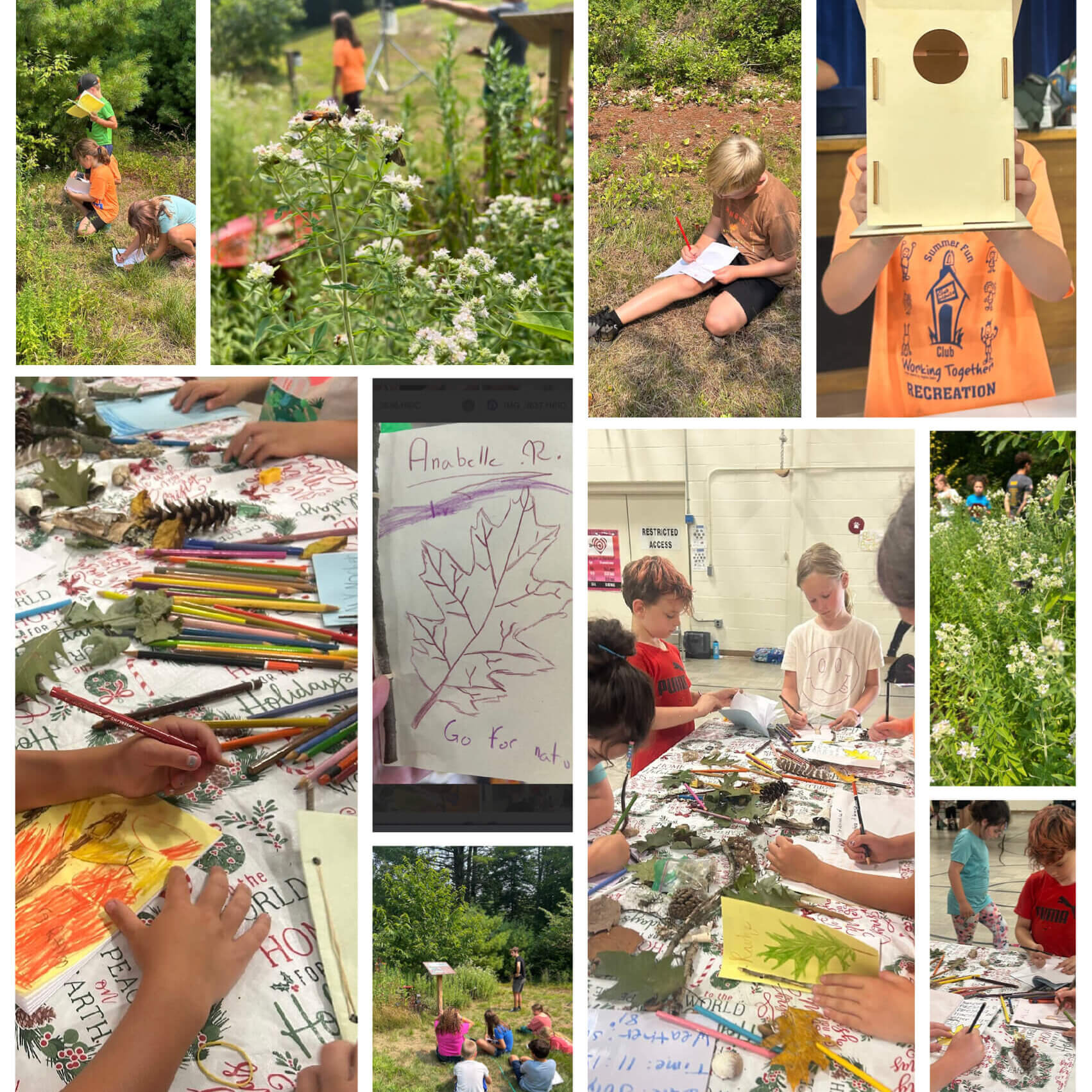 Collage of children outdoors studying nature, drawing leaves, painting, writing, and assembling wooden birdhouses, plus close-ups of plants and leaf sketches. Activities take place in grassy fields and a gymnasium.