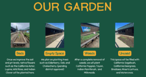 A school garden diagram with four labeled sections: Beds, Empty Space, Weeds, and Unused, each showing a garden photo and describing planned native plantings and maintenance activities.