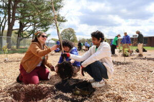 Three people kneel together outdoors, planting a young tree in a mulched area. Other volunteers are visible in the background, working under a partly cloudy sky surrounded by trees and a chain-link fence.