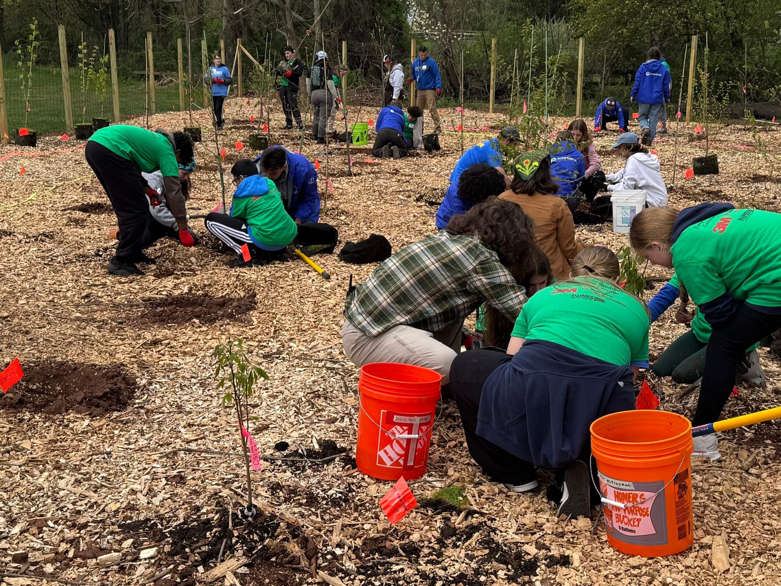 Tiny Forest, Big Opportunities: Youth-Led Nature Project in New Jersey Plants Seeds for Future STEM Careers