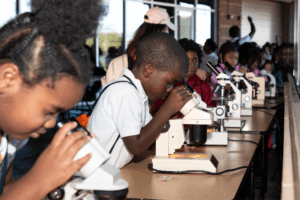 Children closely examine slides using microscopes at a long table in a bright, busy classroom or science fair setting, exploring health and life sciences STEM resources that spark curiosity and inspire scientific discovery.