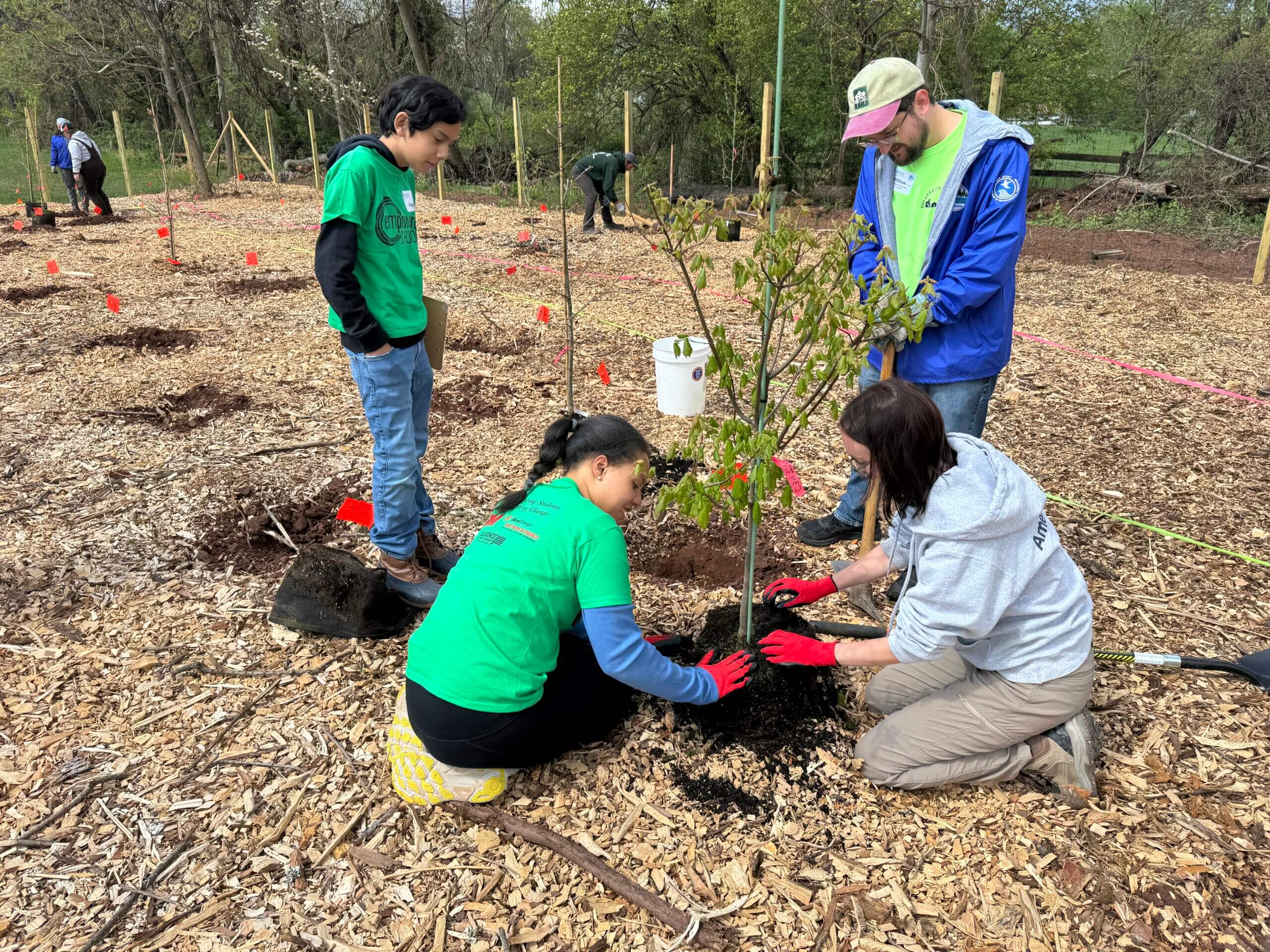 Four people wearing gloves and casual clothes work together to plant a small tree in a mulched outdoor area, as part of the Nature Prize Challenge, with tools and stakes visible around them.